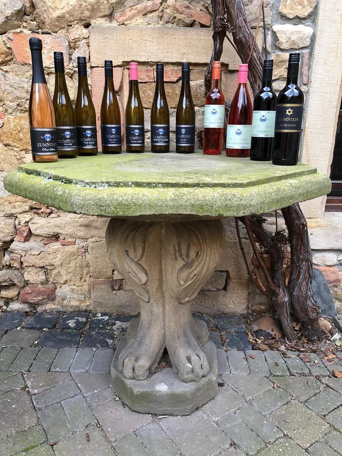 Weingut Zumstein Hotel Bad Dürkheim Buitenkant foto